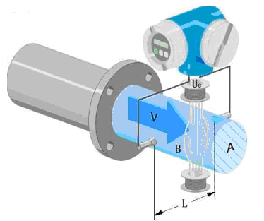 1636506443140017.jpg d5.jpg