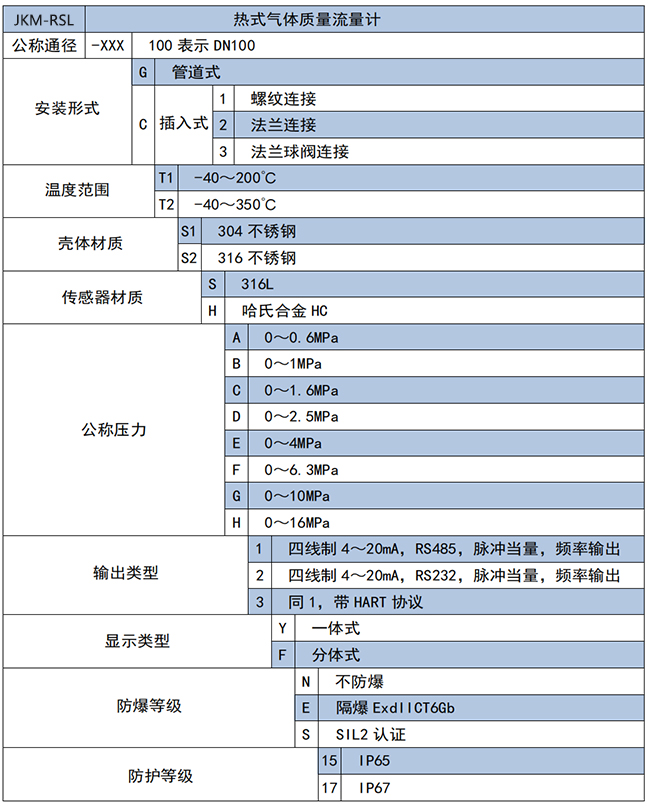 DN250熱式氣體質(zhì)量流量計選項表
