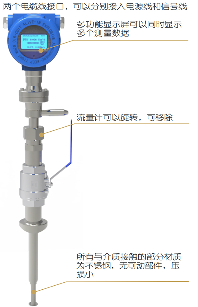 DN80熱式氣體質(zhì)量流量計結構圖